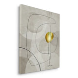 Canvas Without Frame