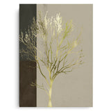 Canvas Without Frame