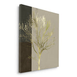Canvas Without Frame