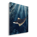 Canvas Without Frame