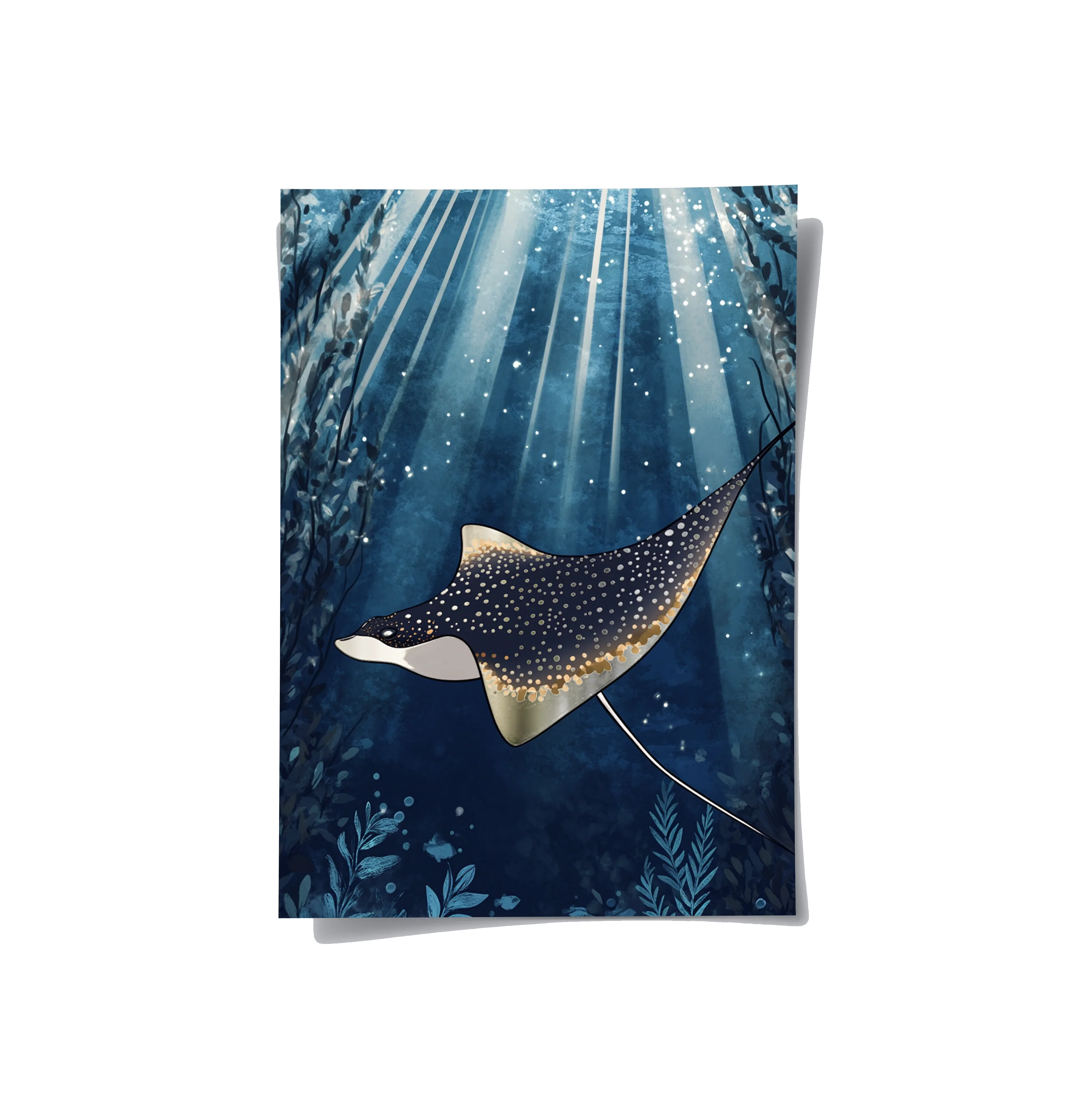 Posters Without Frame