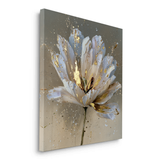 Canvas Without Frame