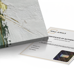 Canvas Without Frame