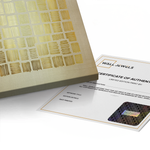 Canvas Without Frame