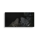 Canvas Without Frame