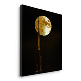 Canvas Without Frame