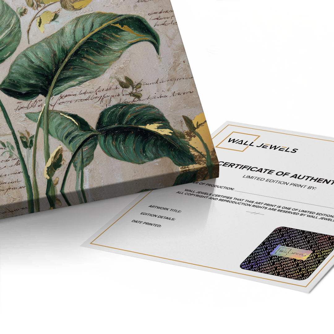 Canvas Without Frame