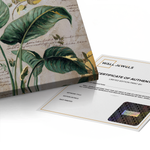 Canvas Without Frame