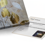 Canvas Without Frame