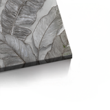 Canvas Without Frame