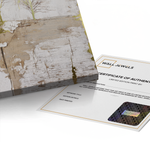 Canvas Without Frame