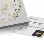 Canvas Without Frame