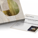 Canvas Without Frame