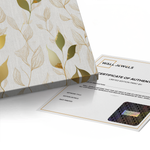 Canvas Without Frame