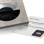 Canvas Without Frame