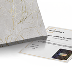 Canvas Without Frame