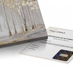 Canvas Without Frame