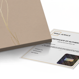 Canvas Without Frame