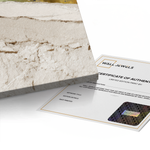 Canvas Without Frame