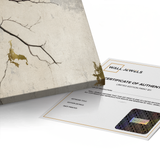 Canvas Without Frame