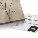 Canvas Without Frame