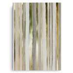 Canvas Without Frame