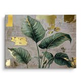 Canvas Without Frame