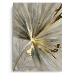 Canvas Without Frame