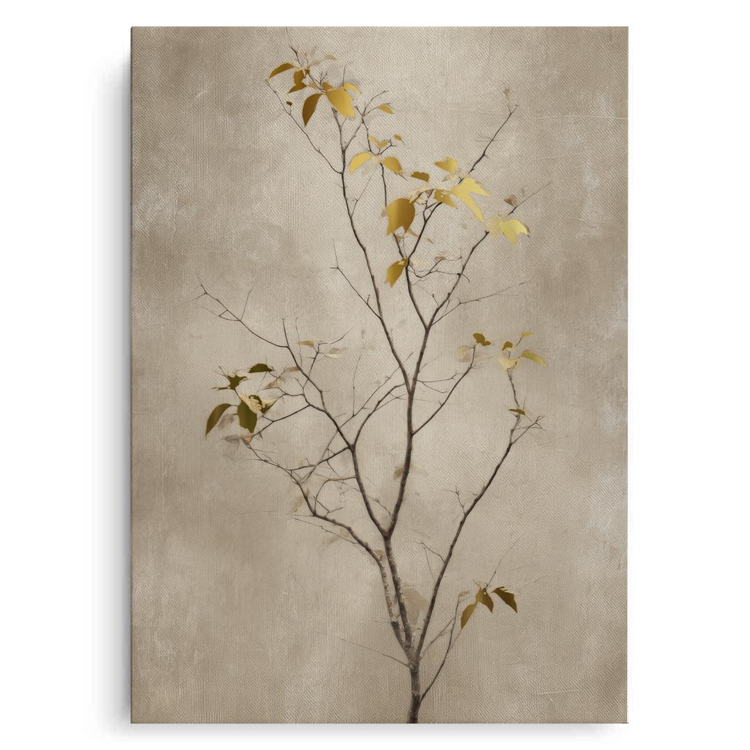 Canvas Without Frame