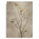 Canvas Without Frame