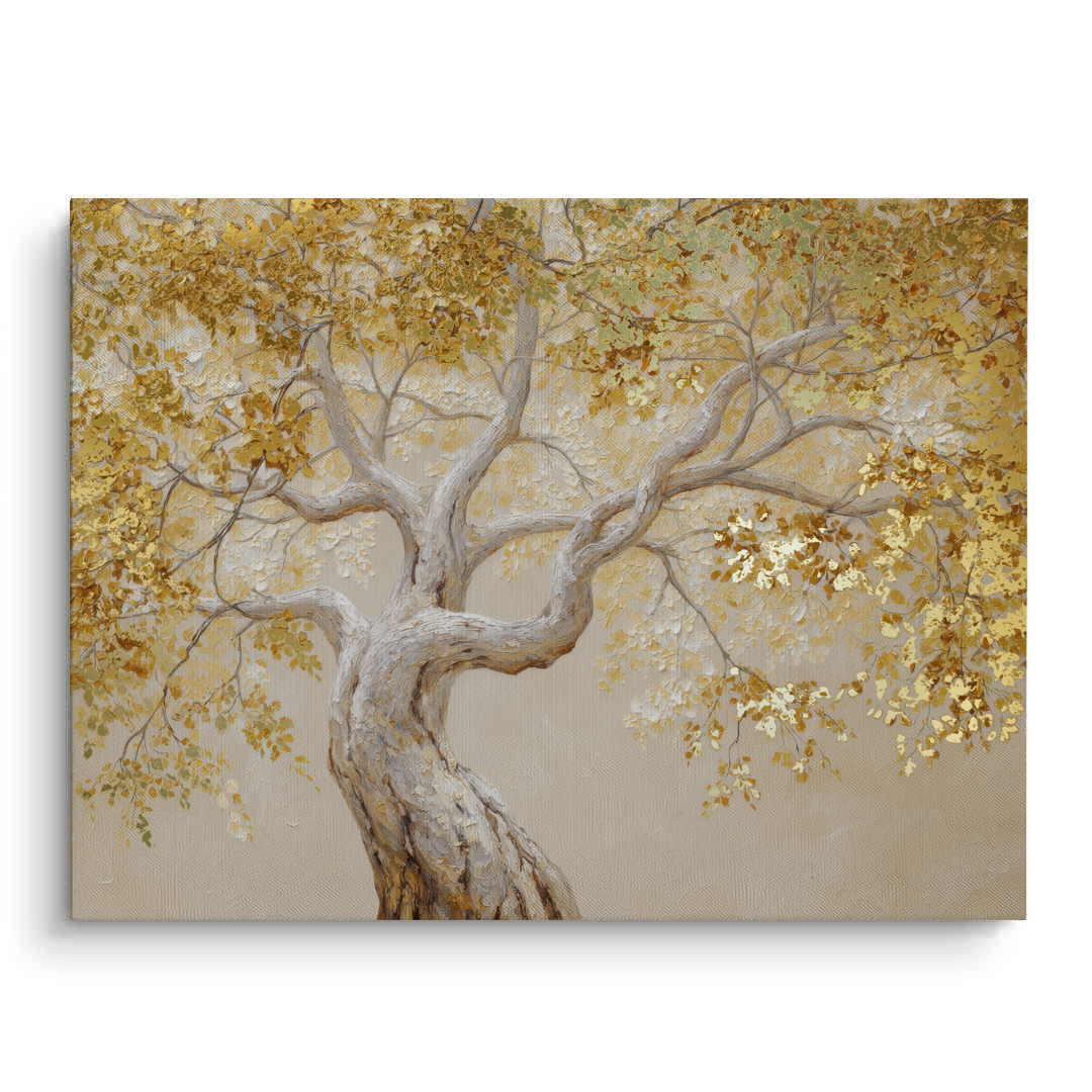 Canvas Without Frame