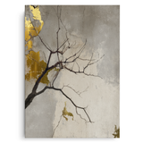 Canvas Without Frame