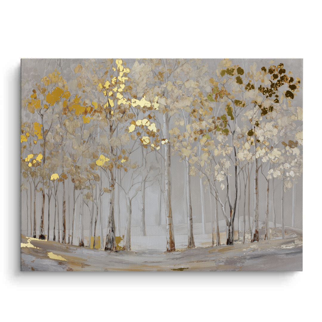 Canvas Without Frame