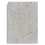 Canvas Without Frame