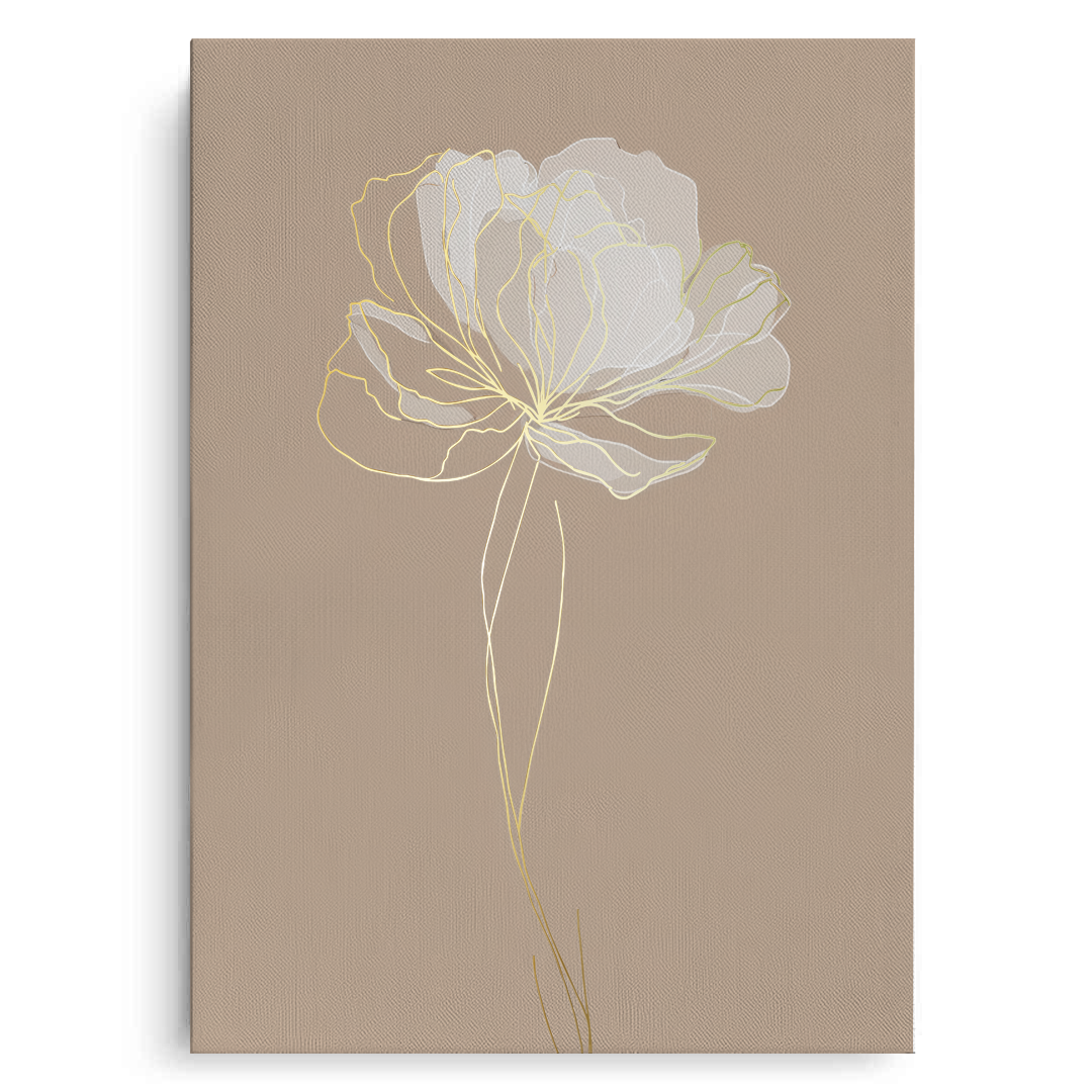 Canvas Without Frame