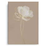 Canvas Without Frame