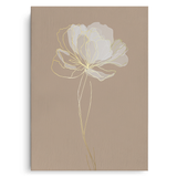 Canvas Without Frame