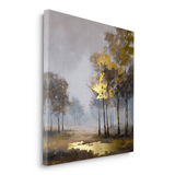 Canvas Without Frame