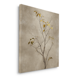 Canvas Without Frame