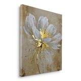 Canvas Without Frame