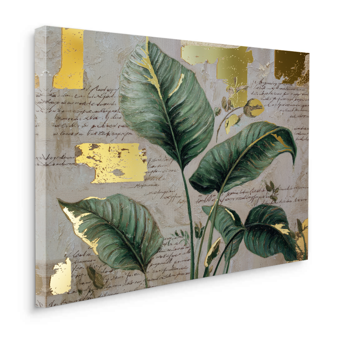 Canvas Without Frame