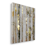 Canvas Without Frame