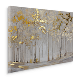 Canvas Without Frame