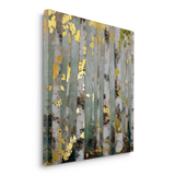 Canvas Without Frame