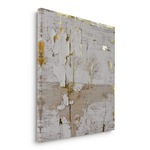 Canvas Without Frame