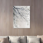 Canvas Without Frame