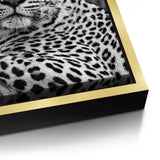 Canvas Gold