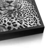 Posters Black