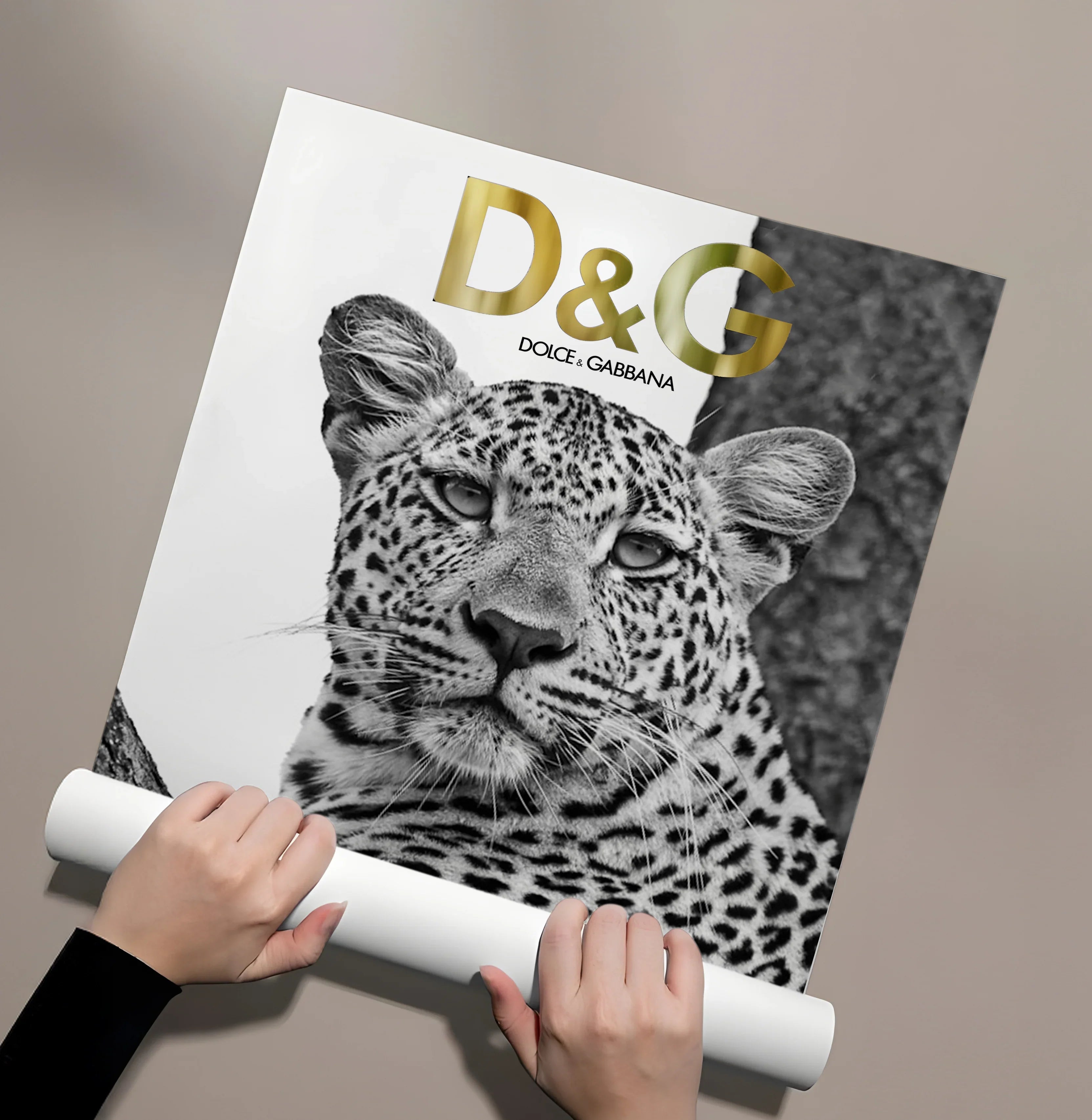 Posters Without Frame