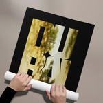 Posters Without Frame